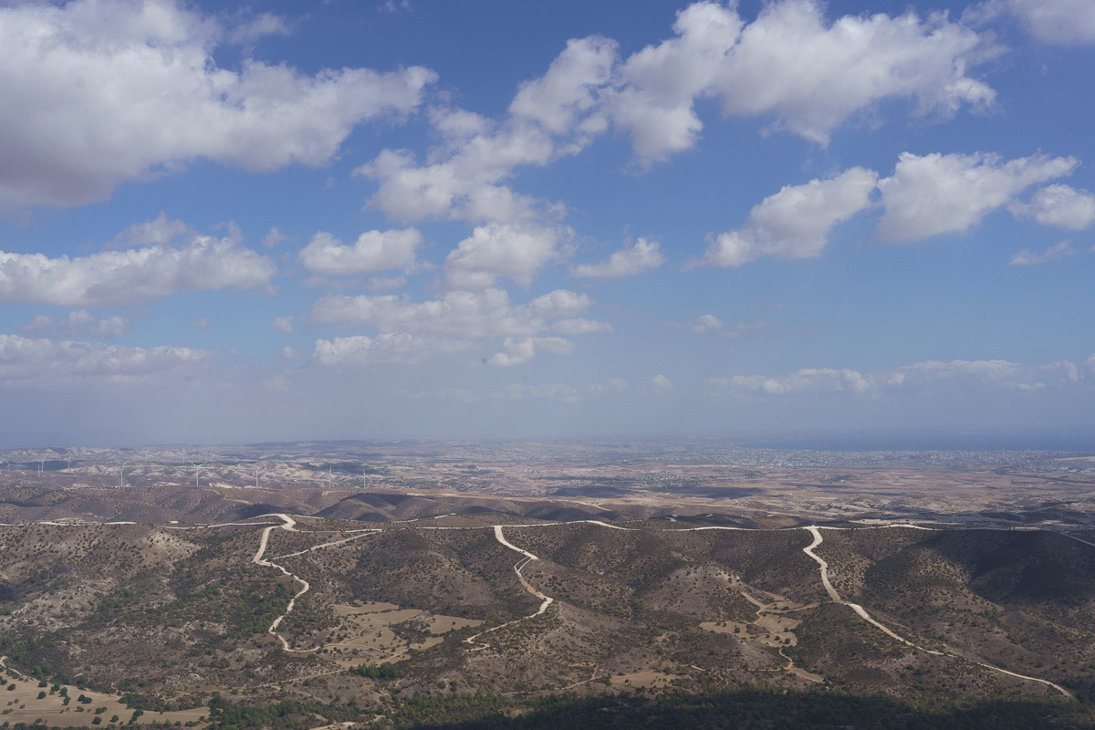 Cyprus diary (in work). Ant | photo