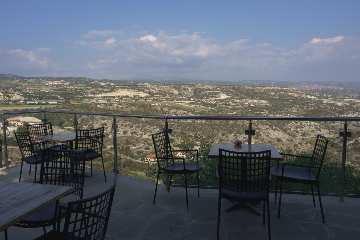 Cyprus diary (in work). Ant | photo