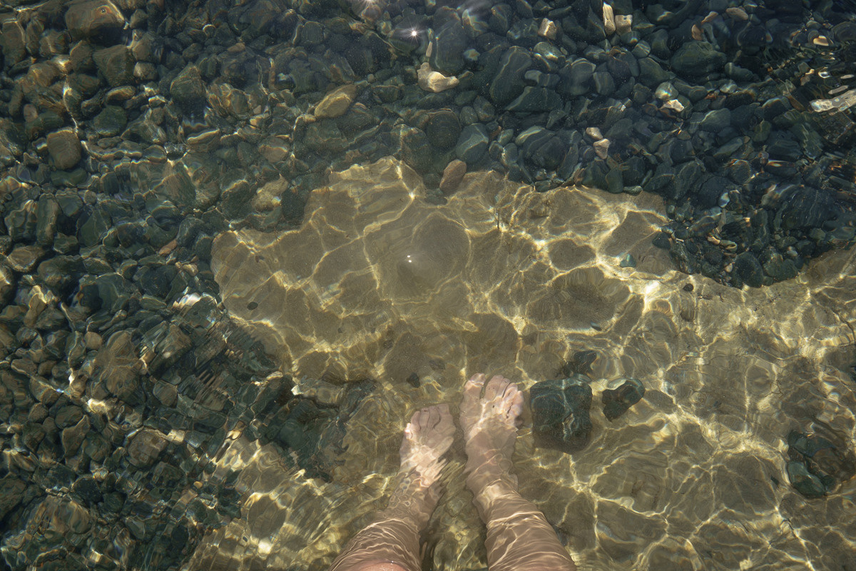 Cyprus diary (in work). Ant | photo