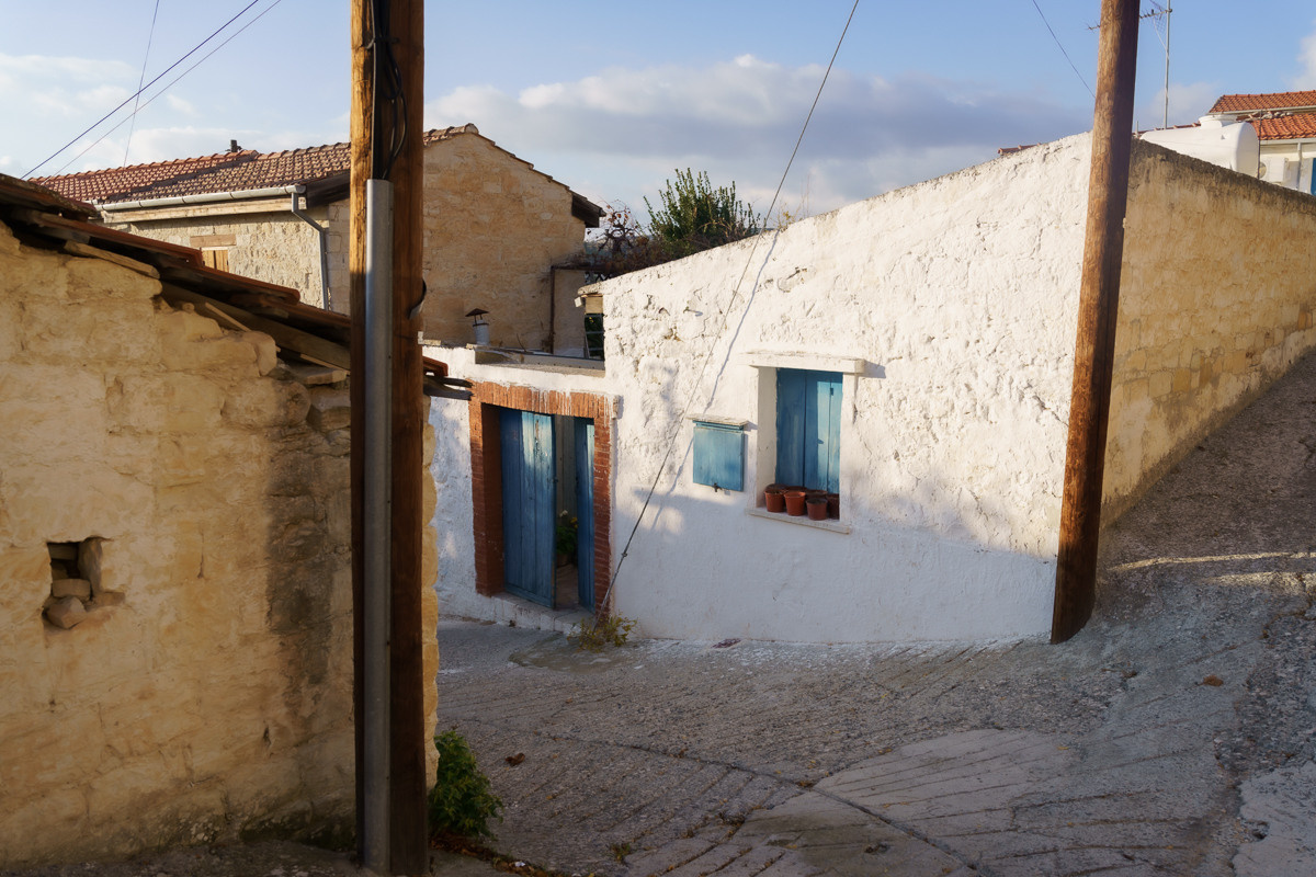 Cyprus diary (in work). Ant | photo