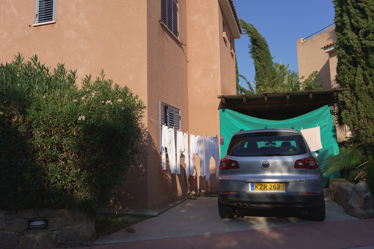 Cyprus diary (in work). Ant | photo