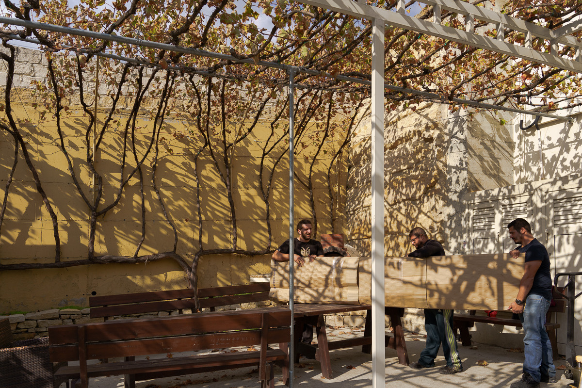 Cyprus diary (in work). Ant | photo