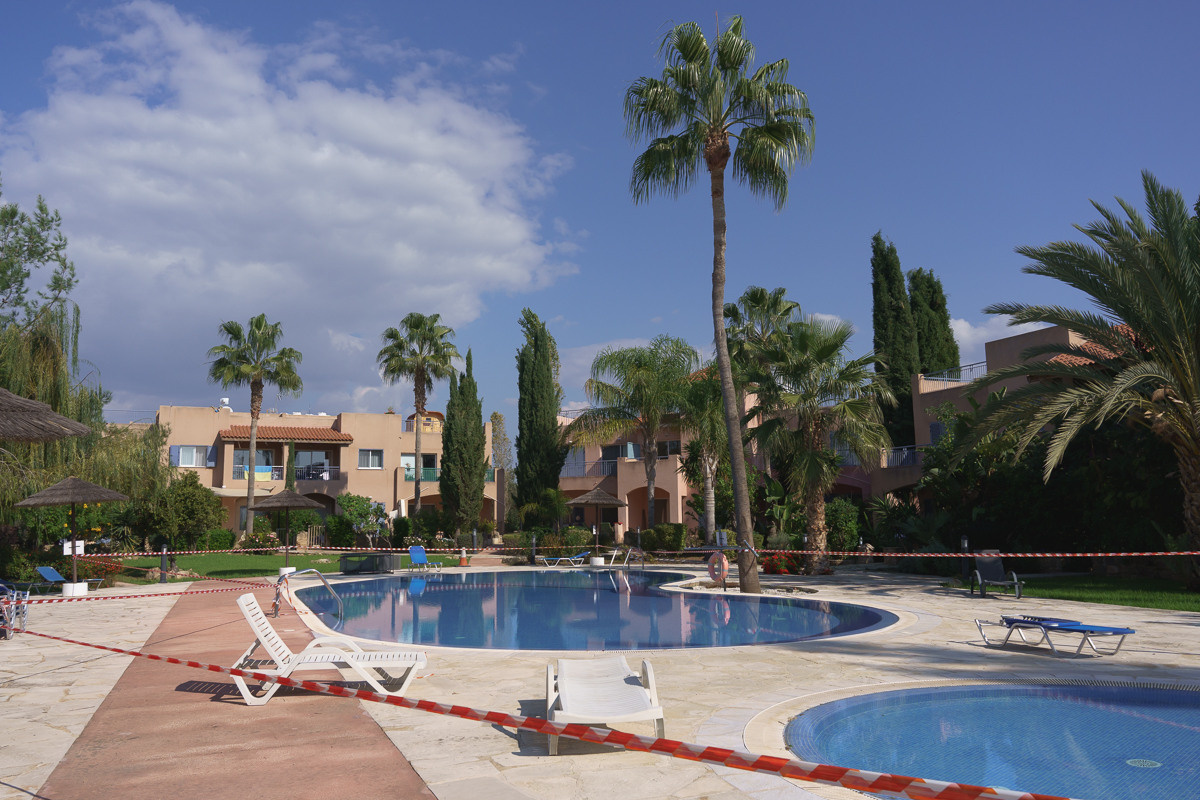 Cyprus diary (in work). Ant | photo