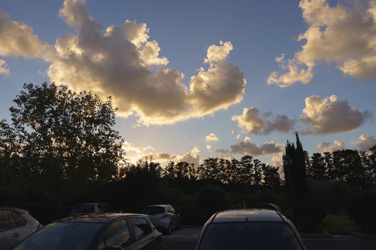 Cyprus diary (in work). Ant | photo