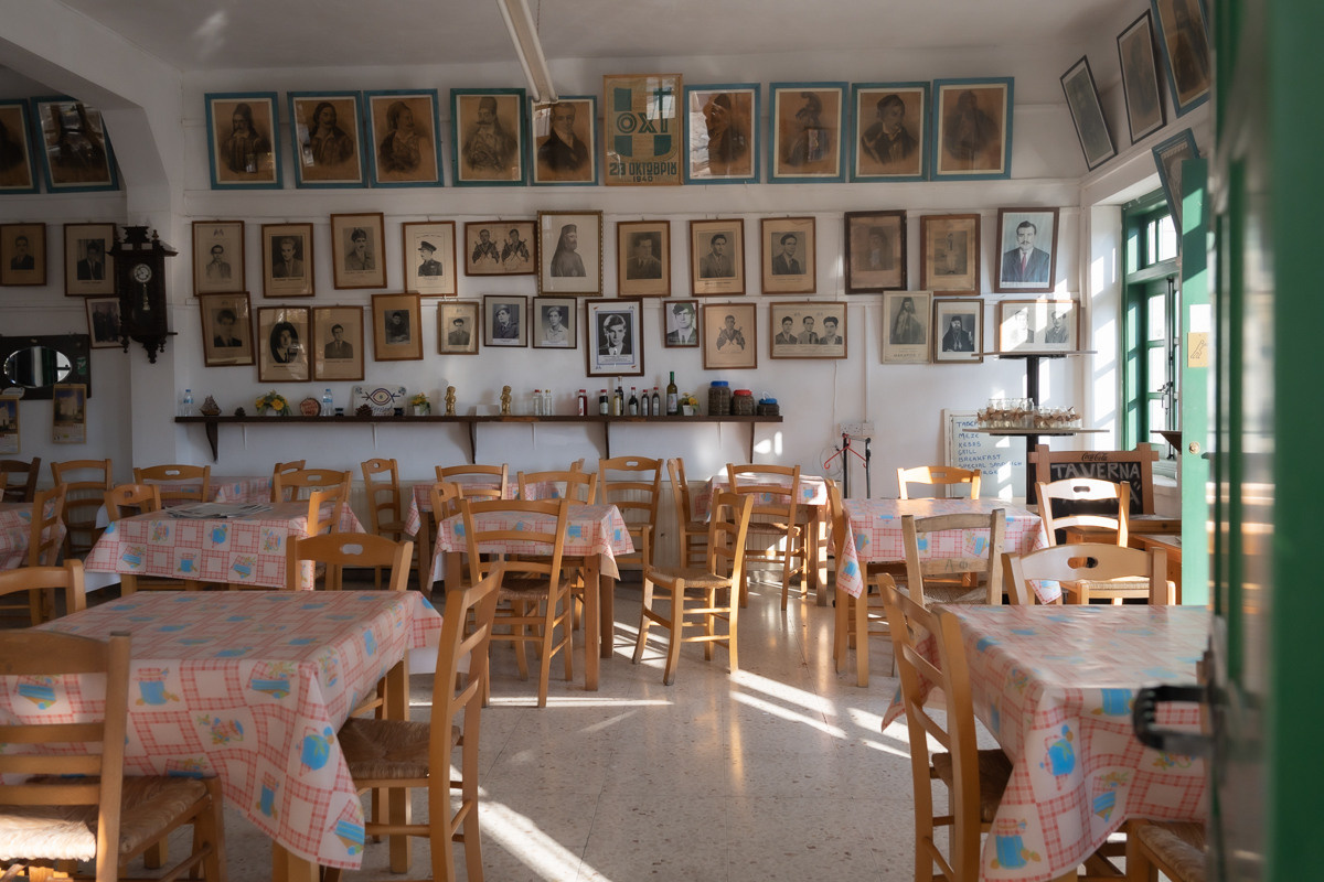 Cyprus diary (in work). Ant | photo