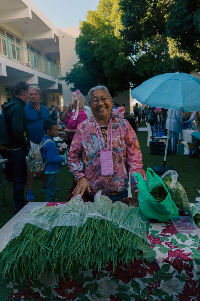 Cyprus diary (in work). Ant | photo