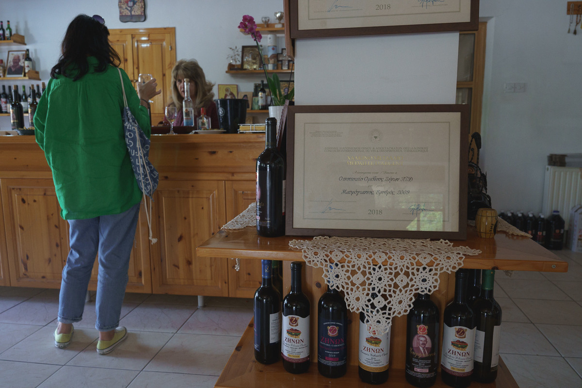 Cyprus diary (in work). Ant | photo