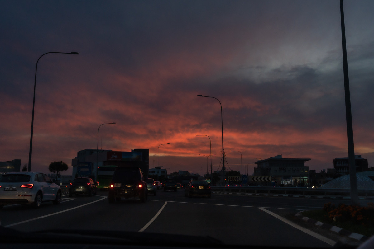 Cyprus diary (in work). Ant | photo