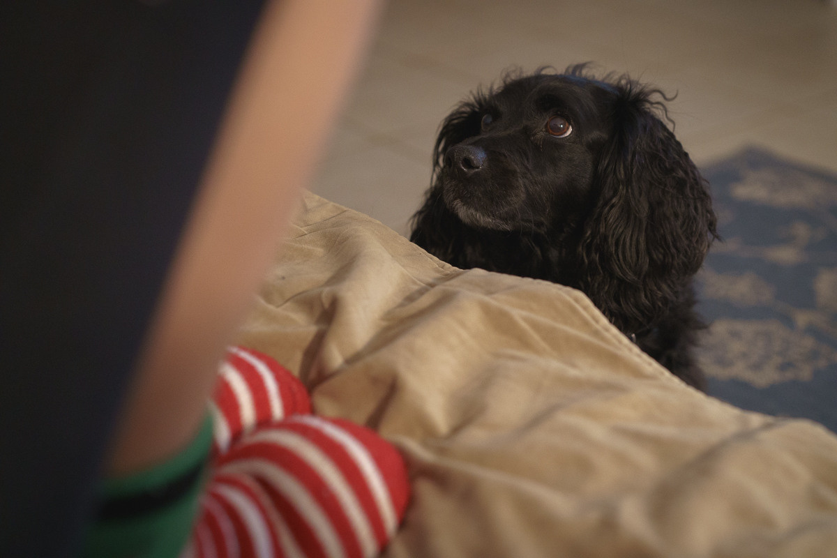 Cyprus diary (in work). Ant | photo