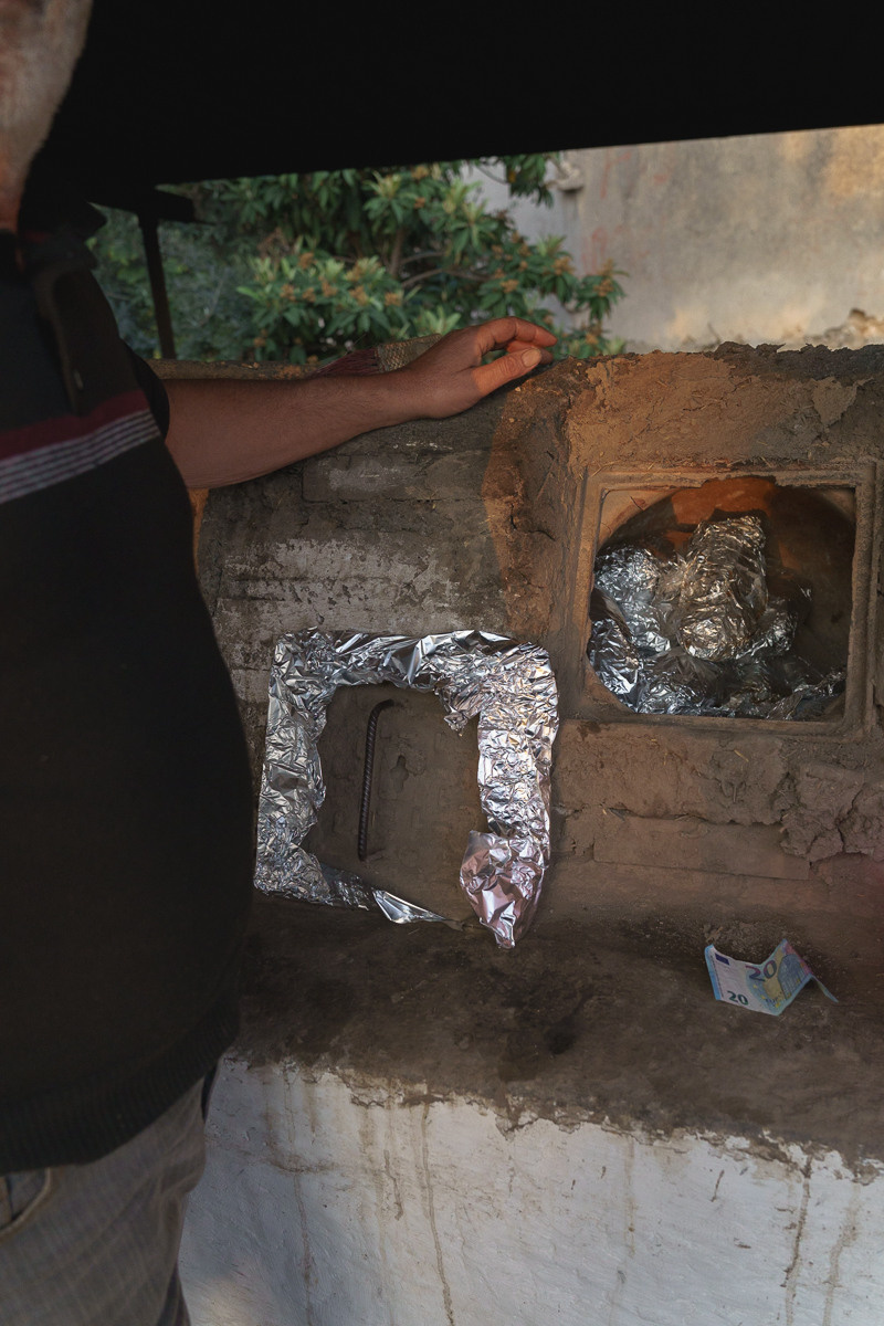 Cyprus diary (in work). Ant | photo