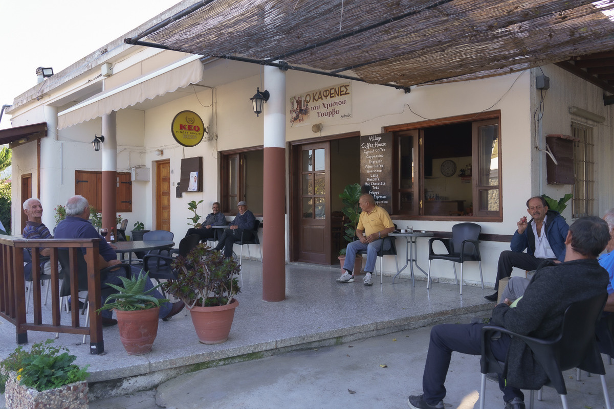 Cyprus diary (in work). Ant | photo