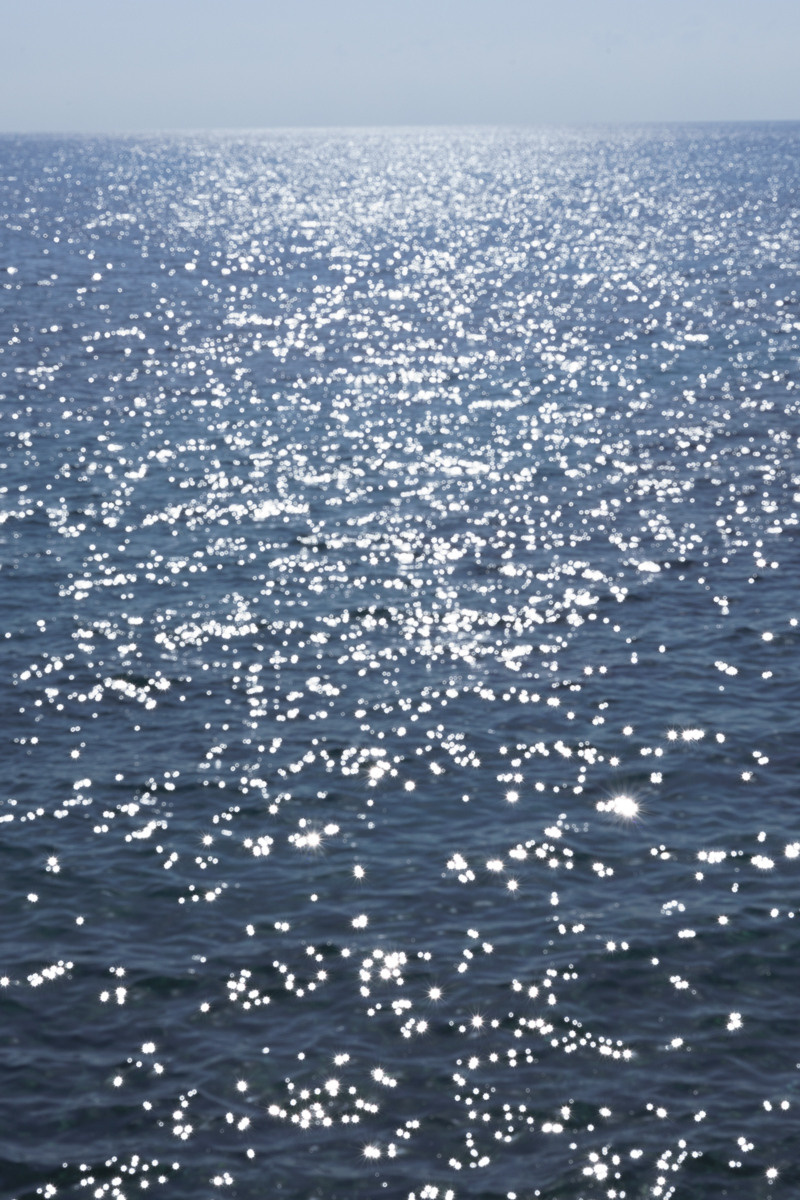 Cyprus diary (in work). Ant | photo