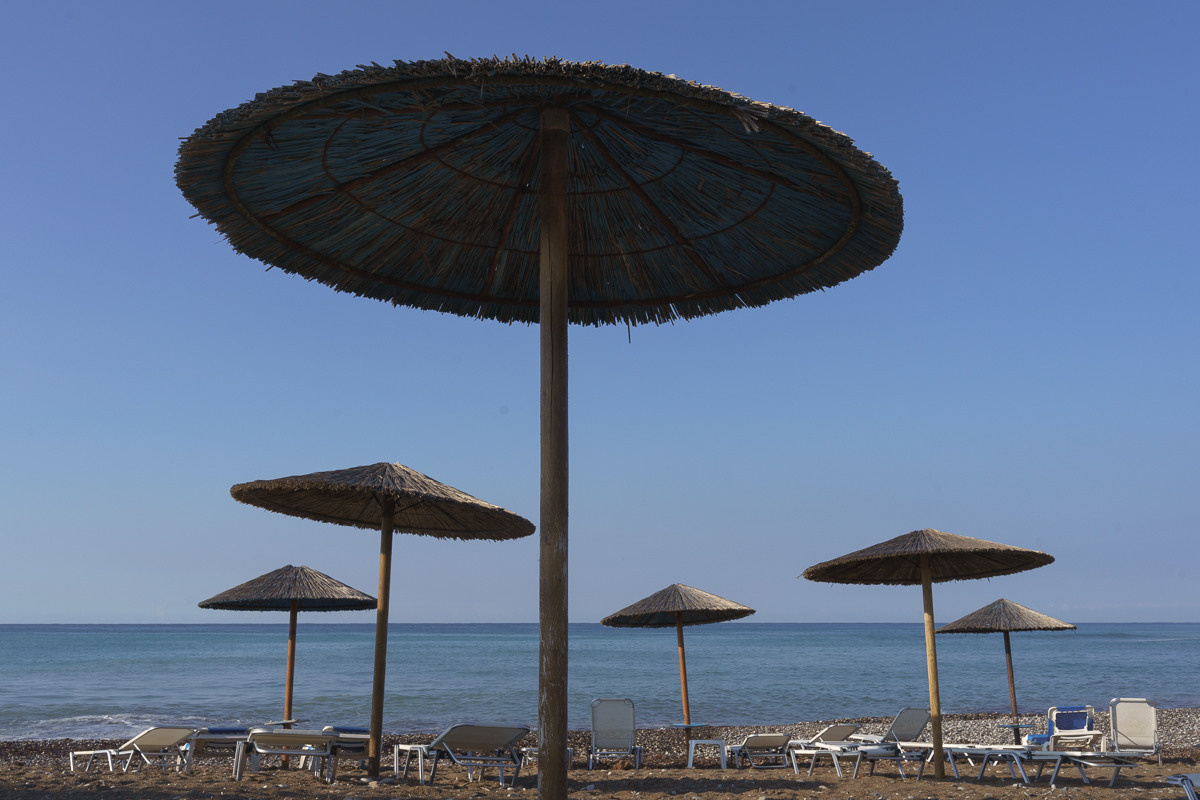 Cyprus diary (in work). Ant | photo