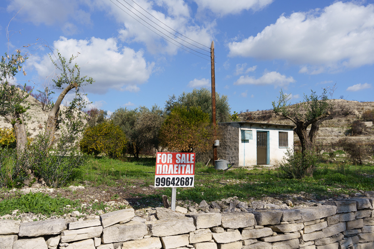 Cyprus diary (in work). Ant | photo