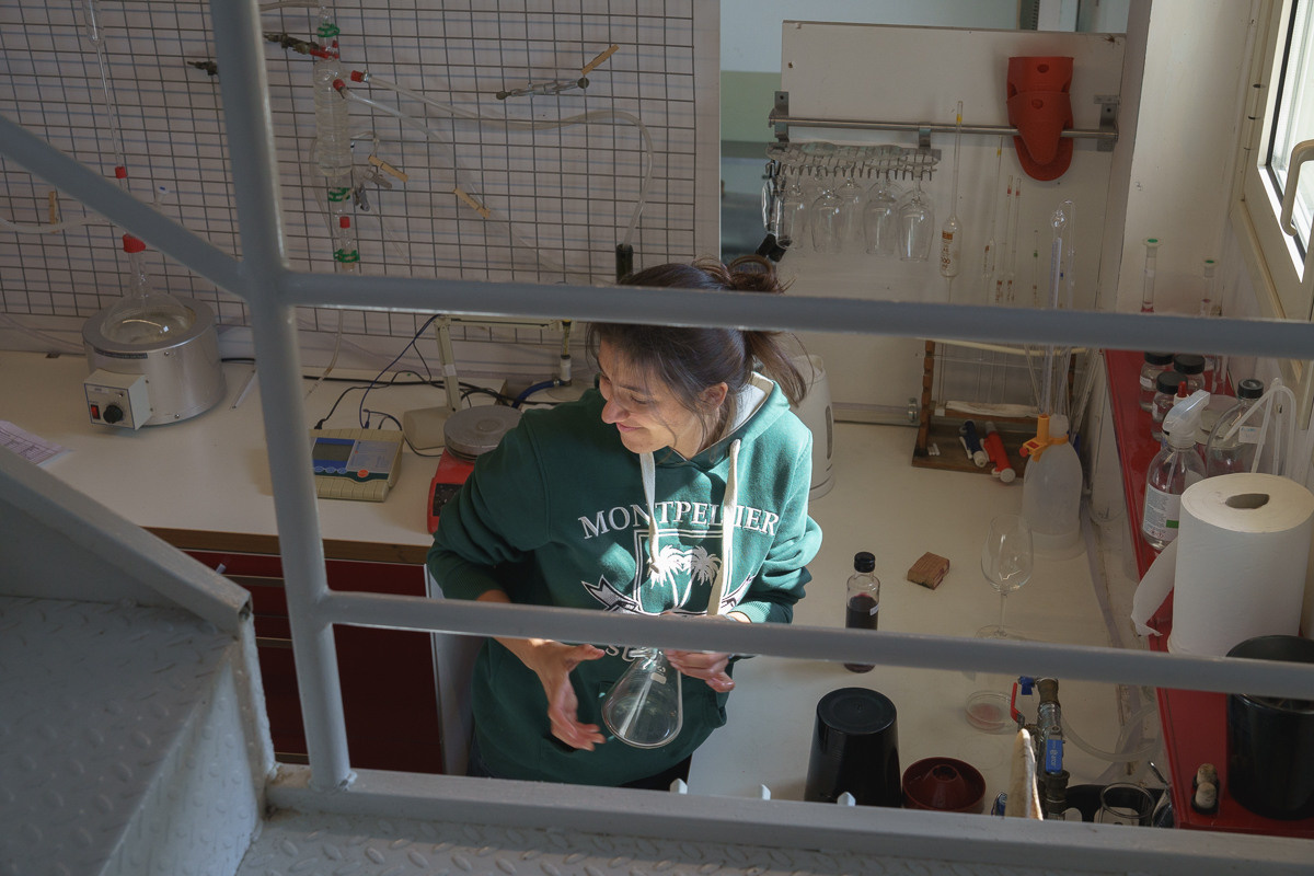 Cyprus diary (in work). Ant | photo