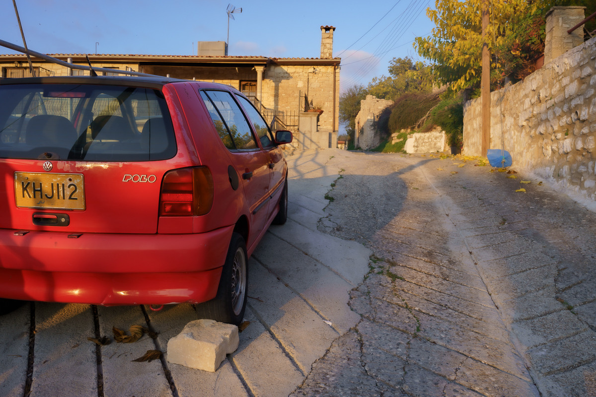 Cyprus diary (in work). Ant | photo