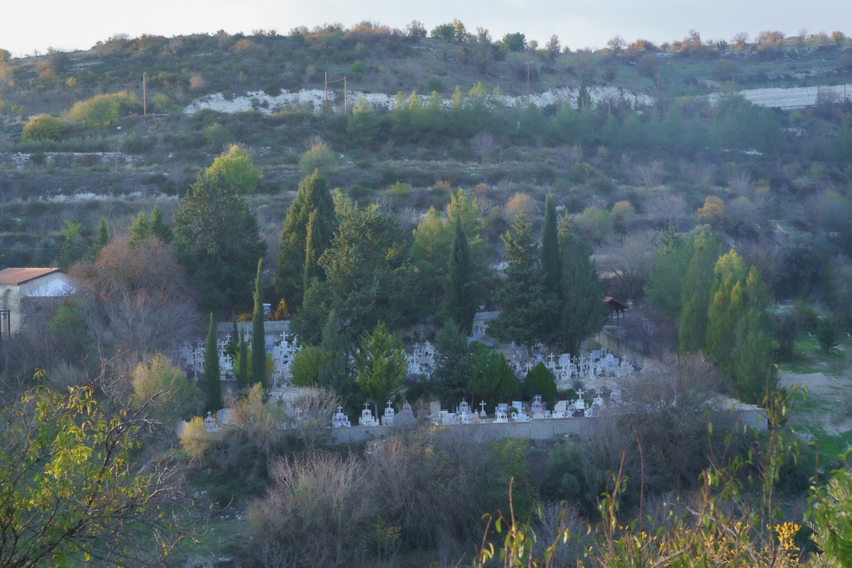 Cyprus diary (in work). Ant | photo