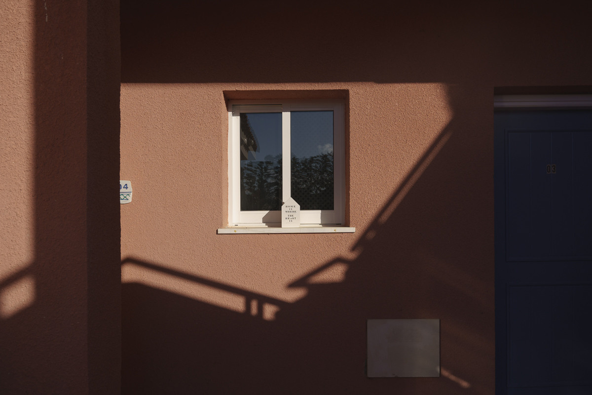 Cyprus diary (in work). Ant | photo