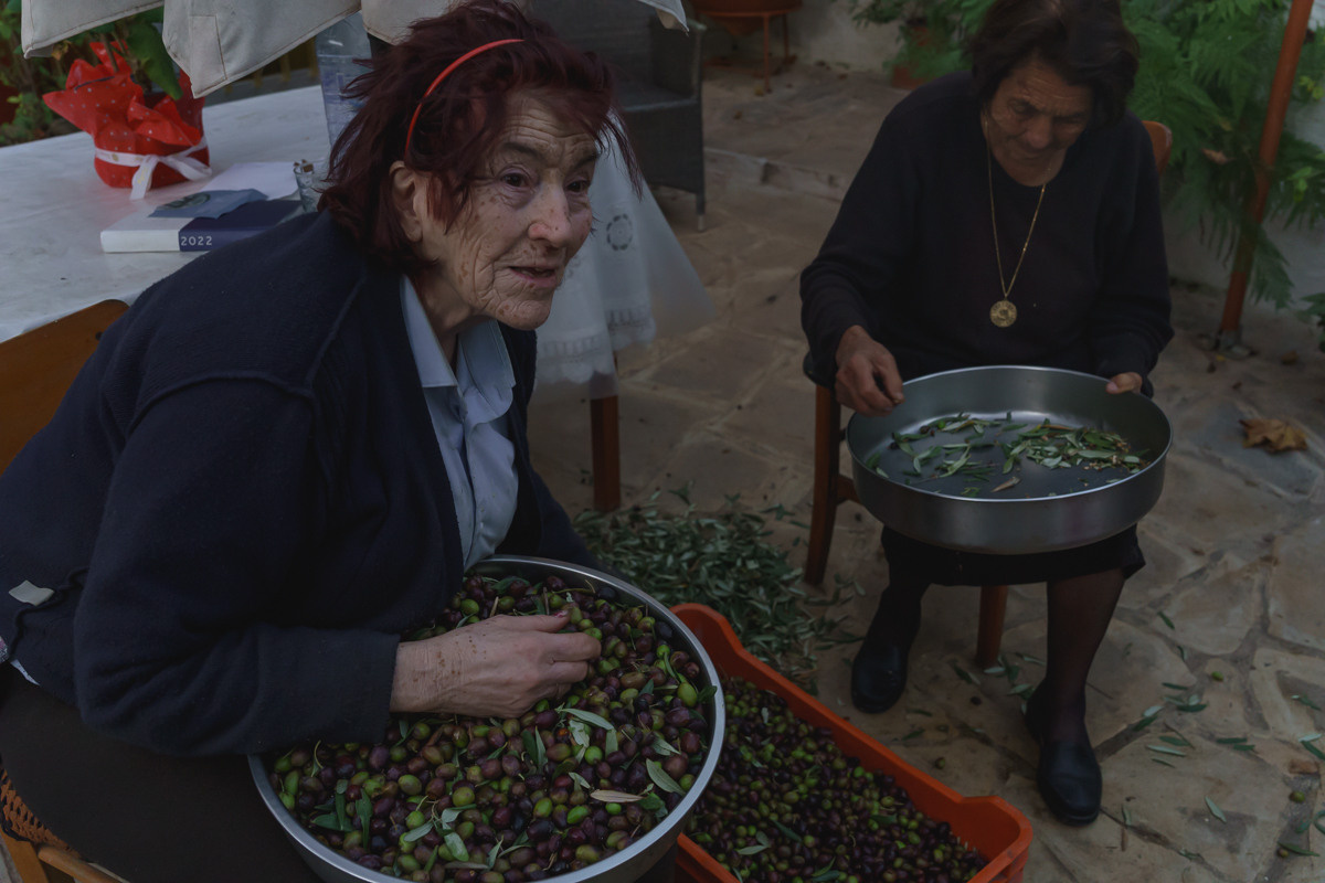 Cyprus diary (in work). Ant | photo