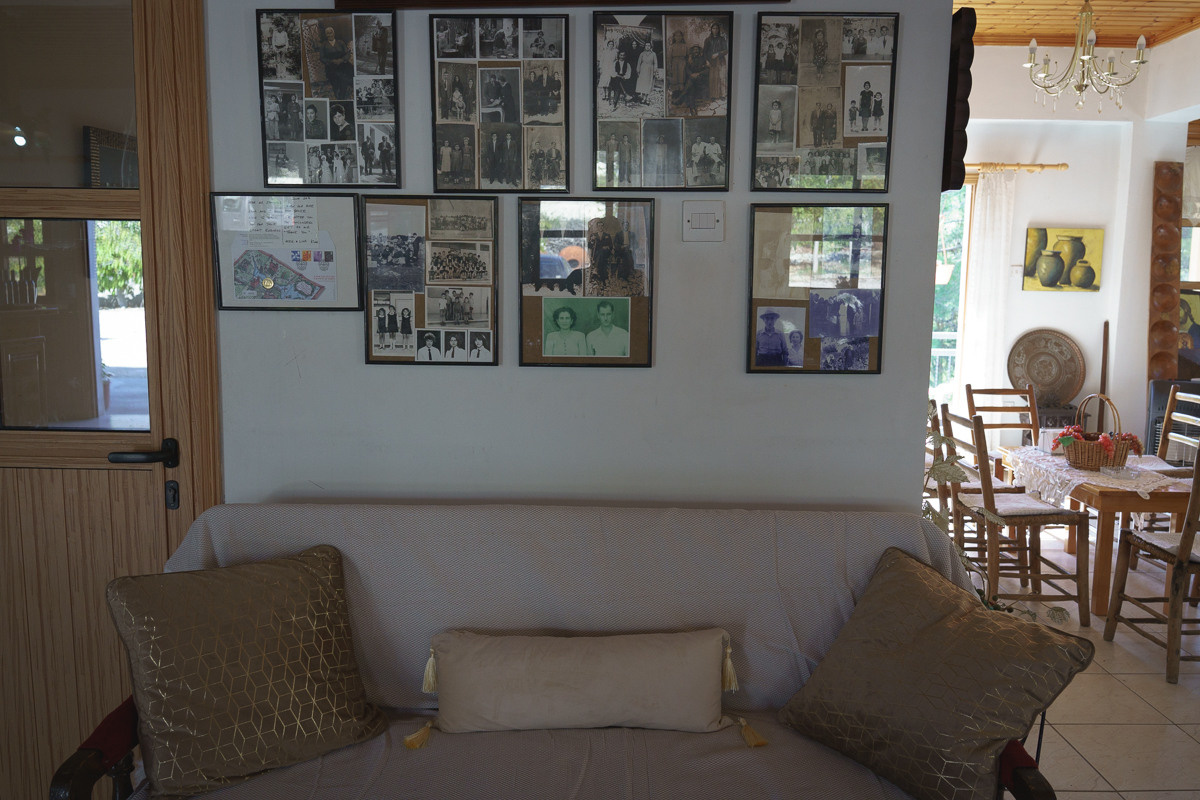 Cyprus diary (in work). Ant | photo