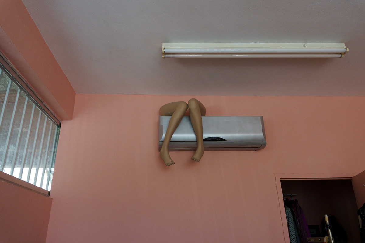 Cyprus diary (in work). Ant | photo