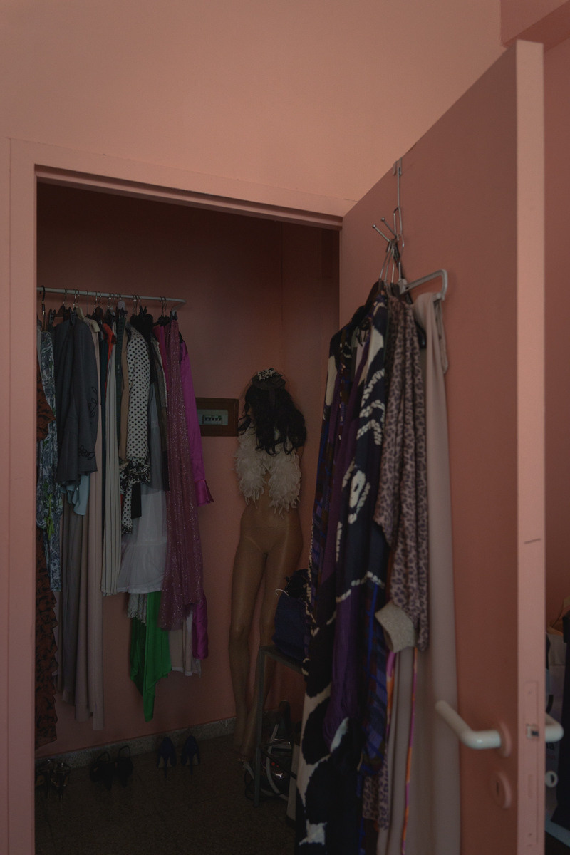 Cyprus diary (in work). Ant | photo