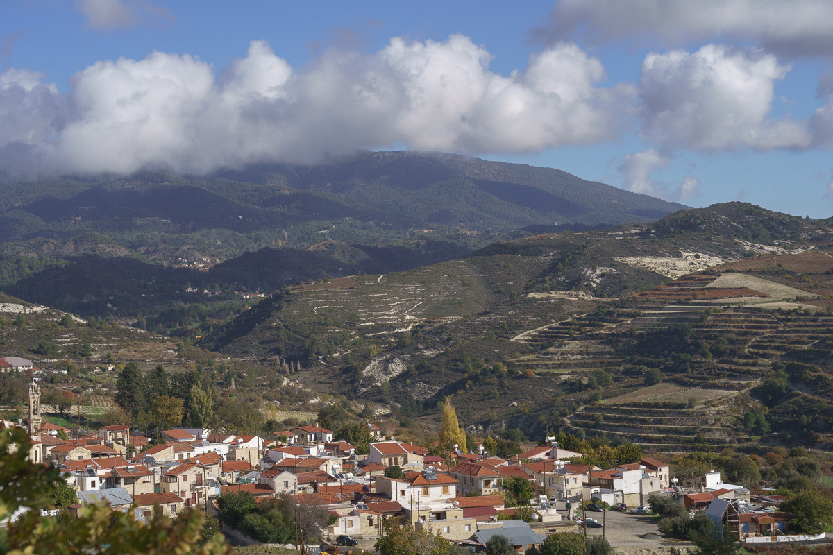 Cyprus diary (in work). Ant | photo