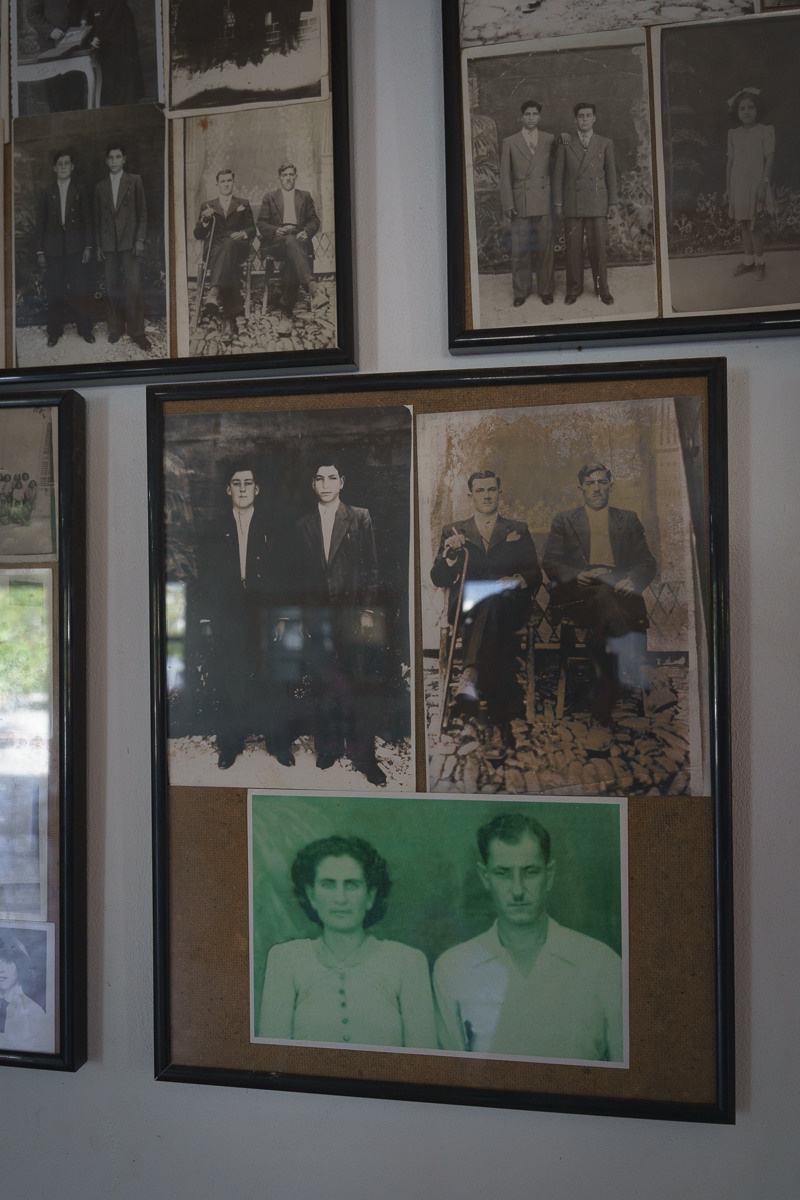 Cyprus diary (in work). Ant | photo