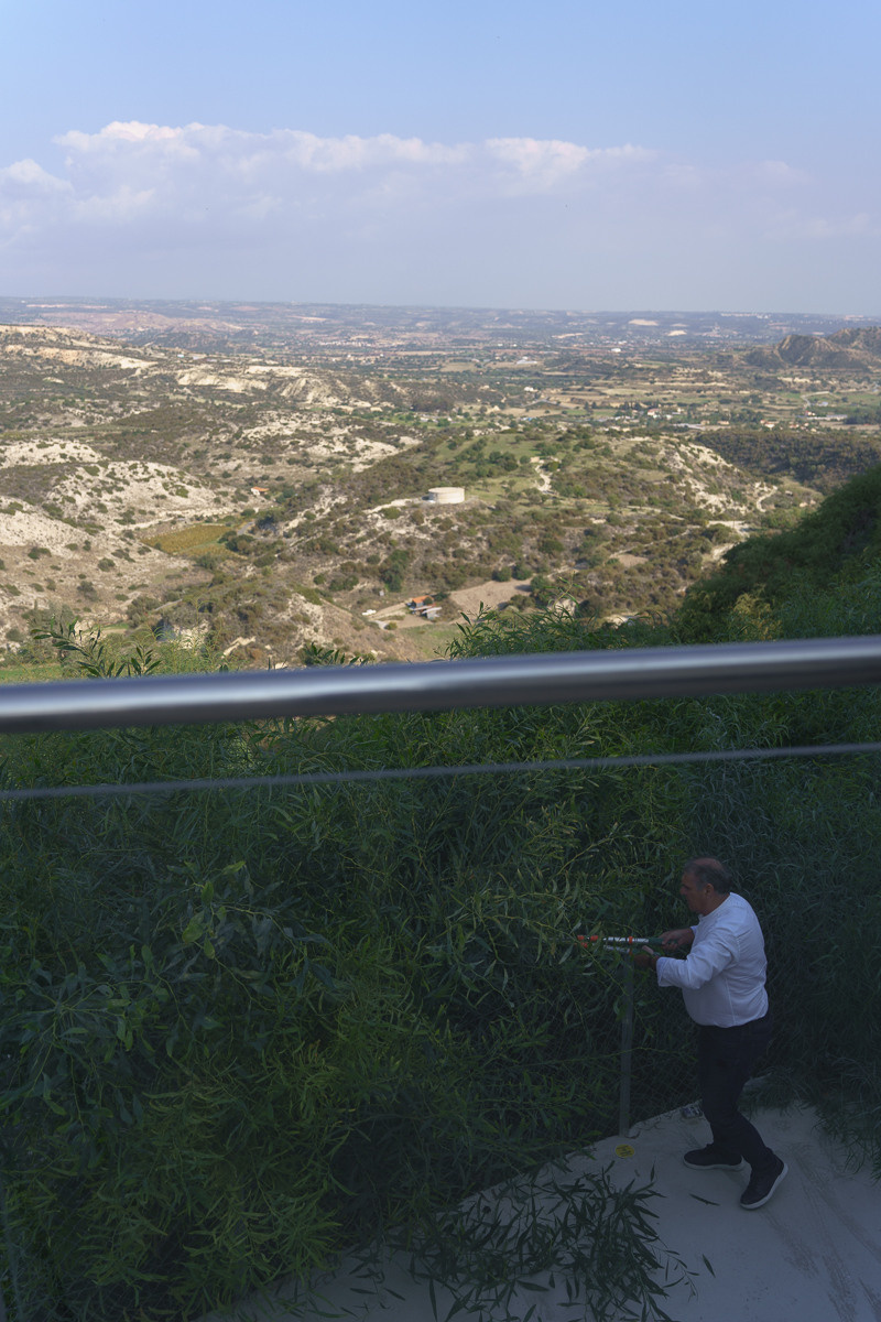 Cyprus diary (in work). Ant | photo