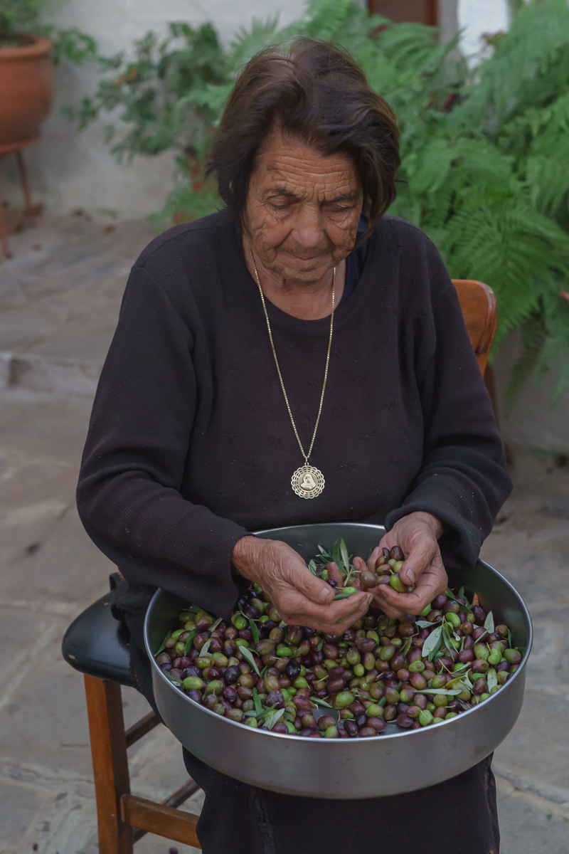 Cyprus diary (in work). Ant | photo