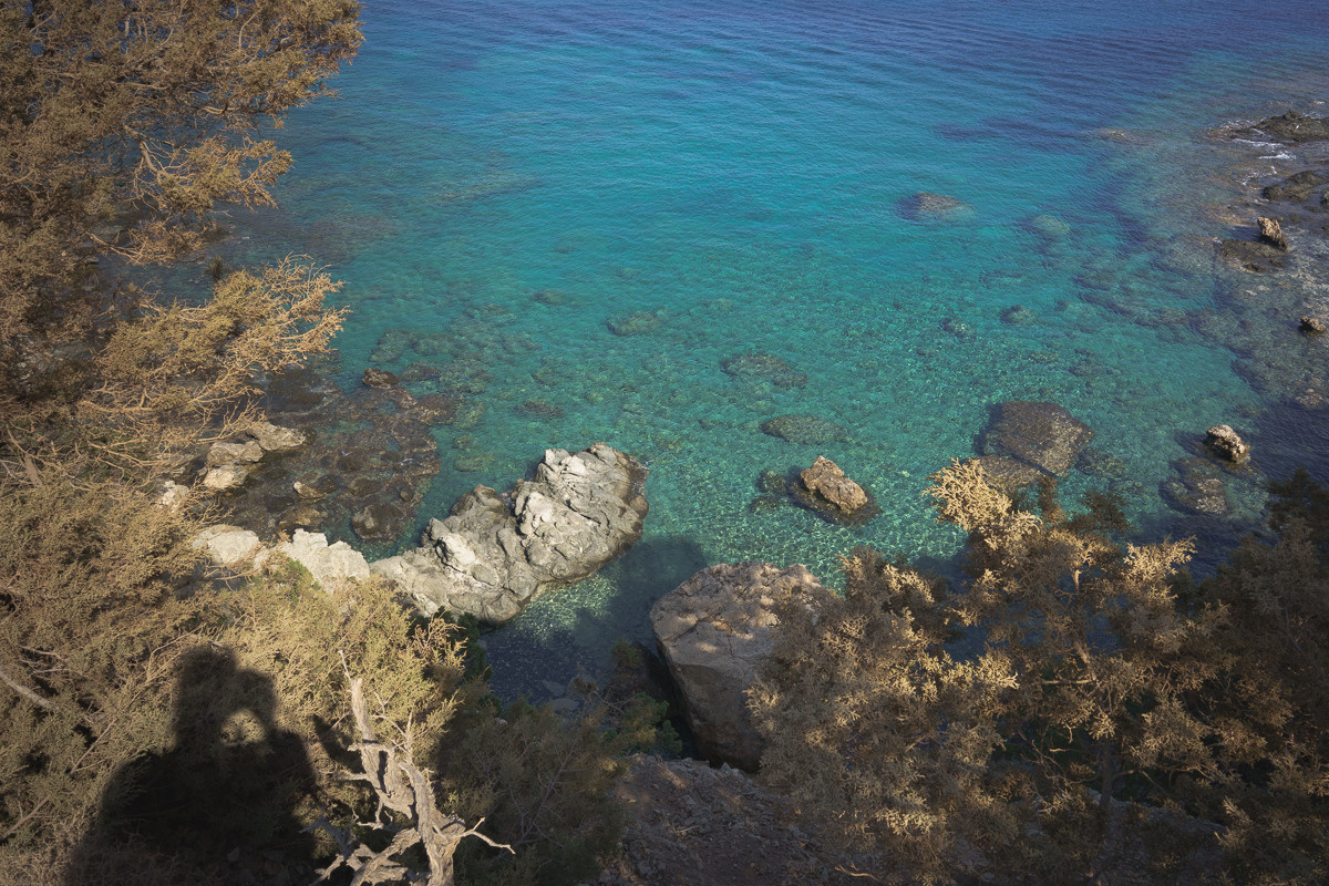 Cyprus diary (in work). Ant | photo