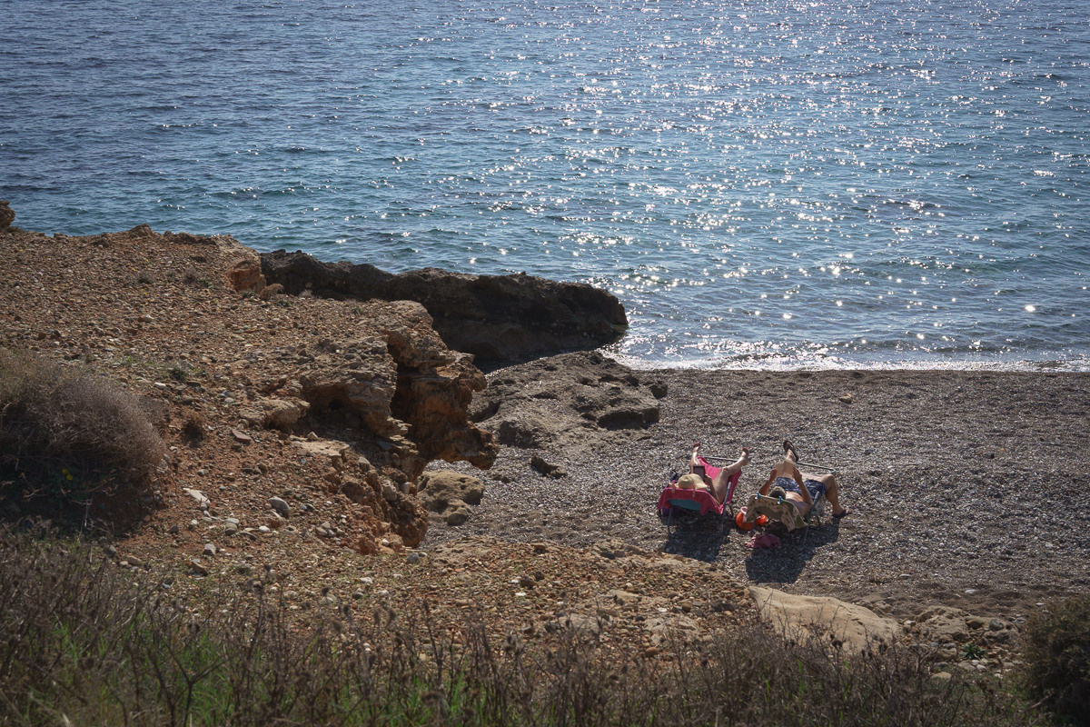 Cyprus diary (in work). Ant | photo