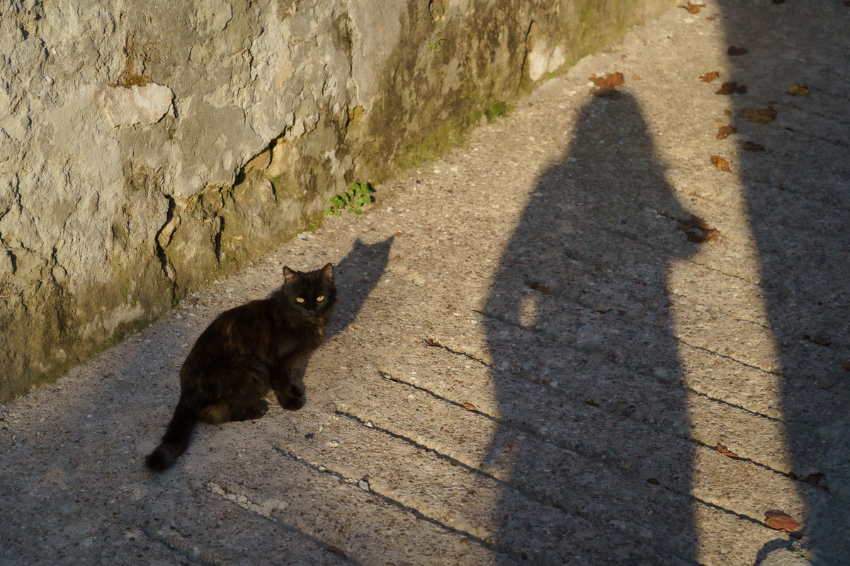 Cyprus diary (in work). Ant | photo