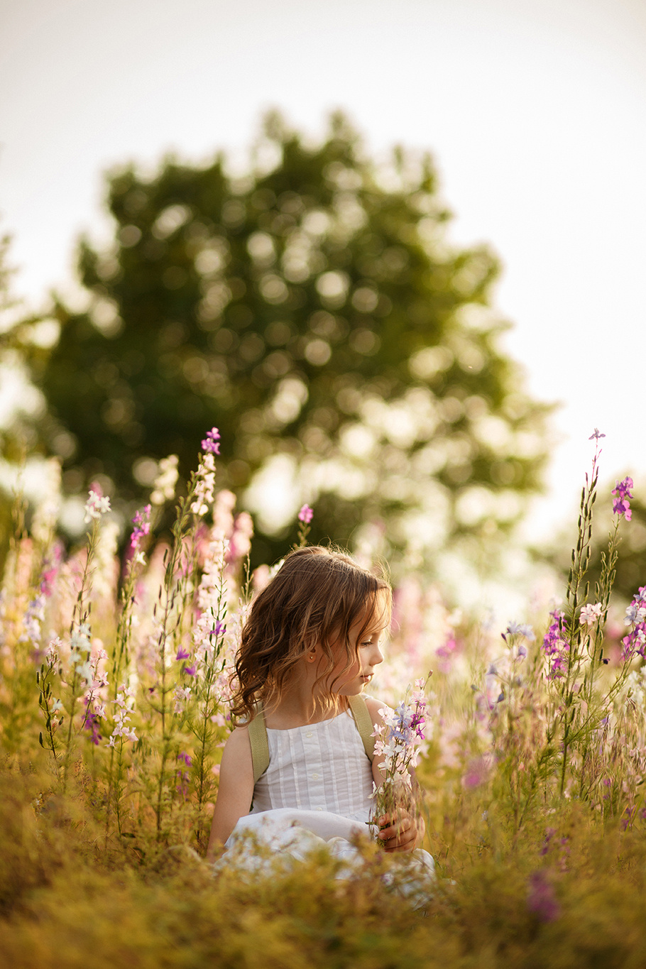Sofy. Fotograf de nuntă și de familie — Dinu Bargan