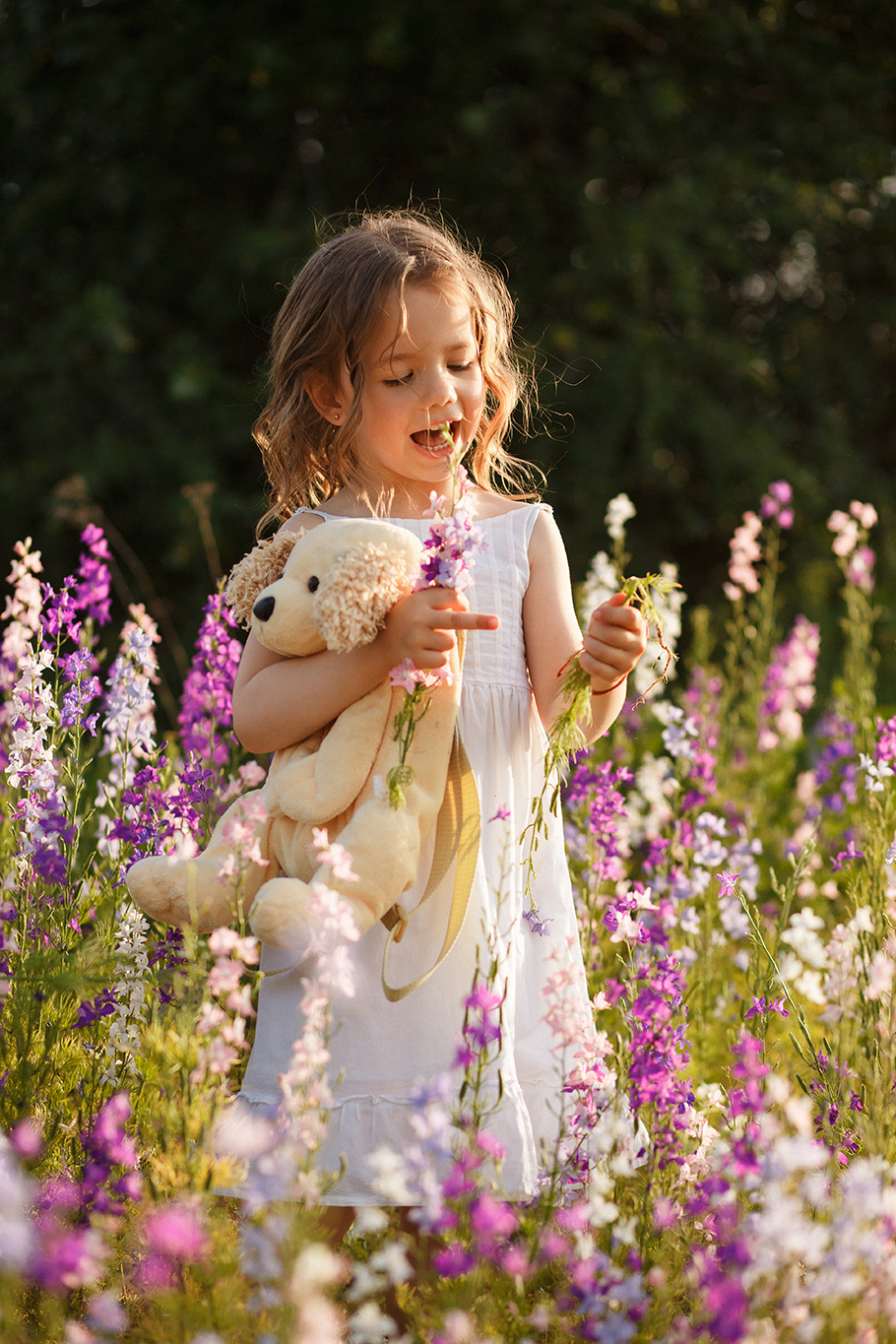 Sofy. Fotograf de nuntă și de familie — Dinu Bargan