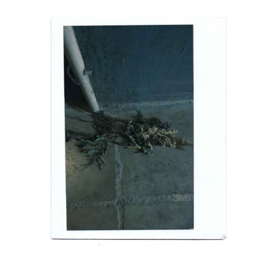 Found. Artist, photographer, graphic designer, dreamer