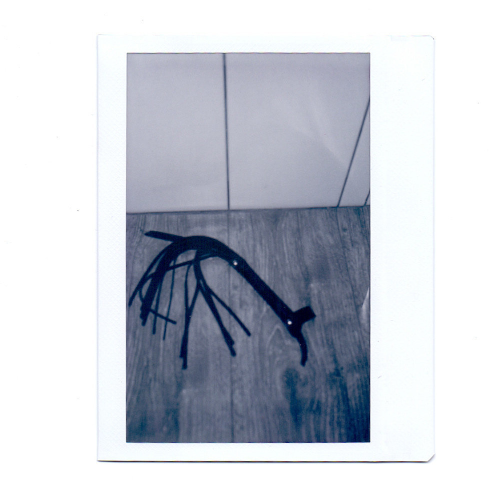 Found. Artist, photographer, graphic designer, dreamer