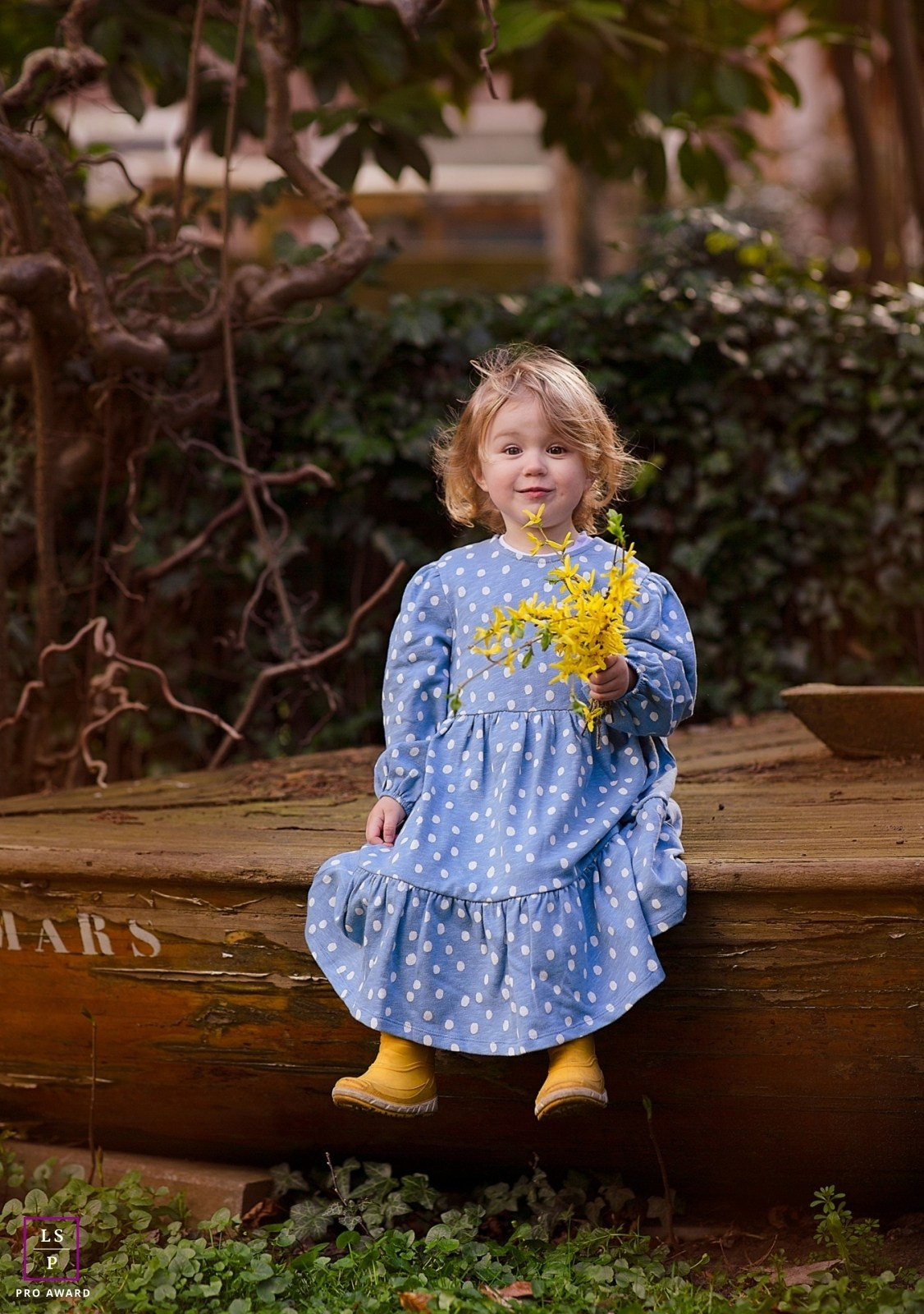 Awards | irina HoekFotografie Erkenningen & Prijzen. Familie en huwelijksfotograaf in Zwolle Overijssel