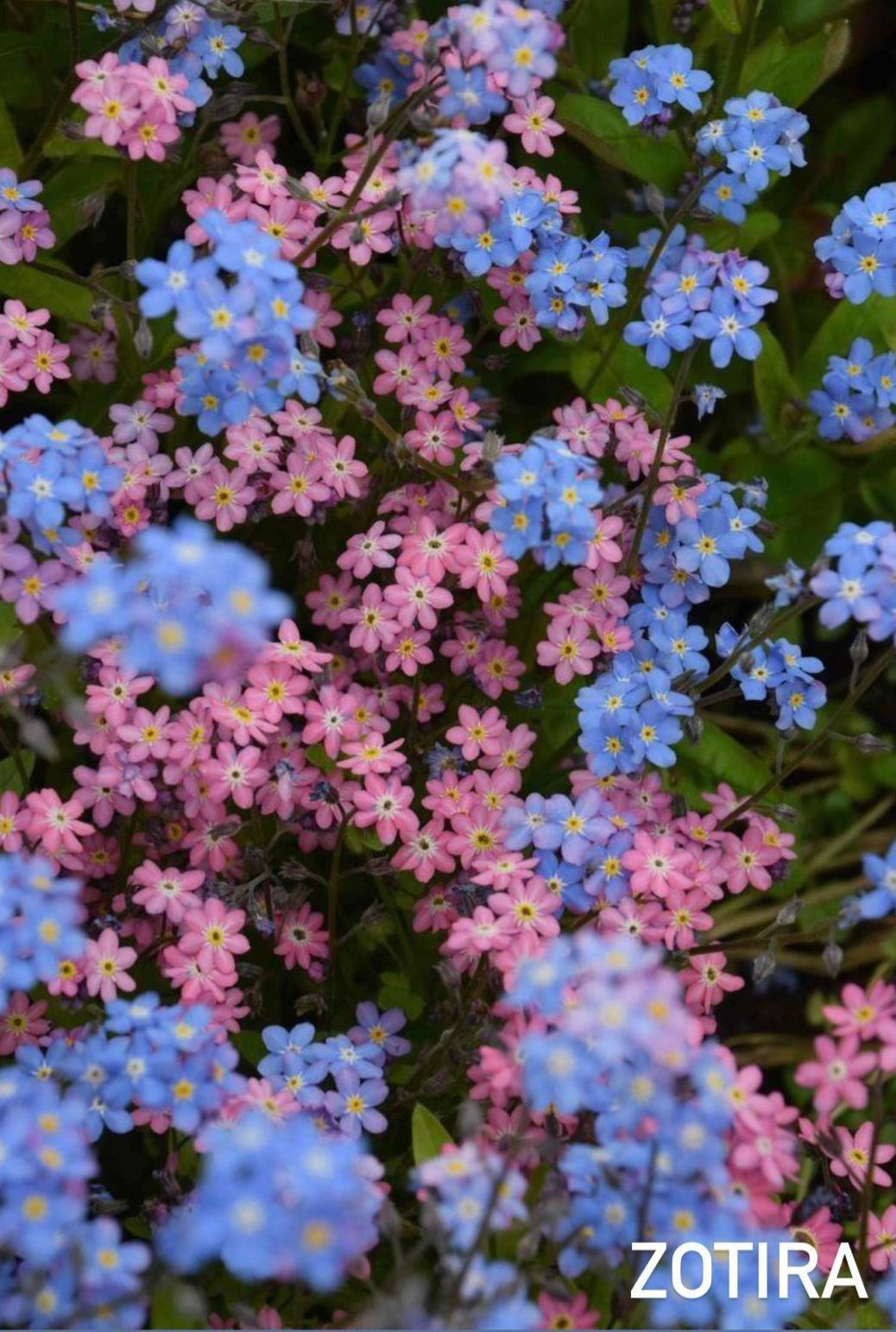 Mentoring Photo Club. Creative Family, Brand, Boudoir and Wedding Photographer in Solihull & Birmingham Irina Zoteeva