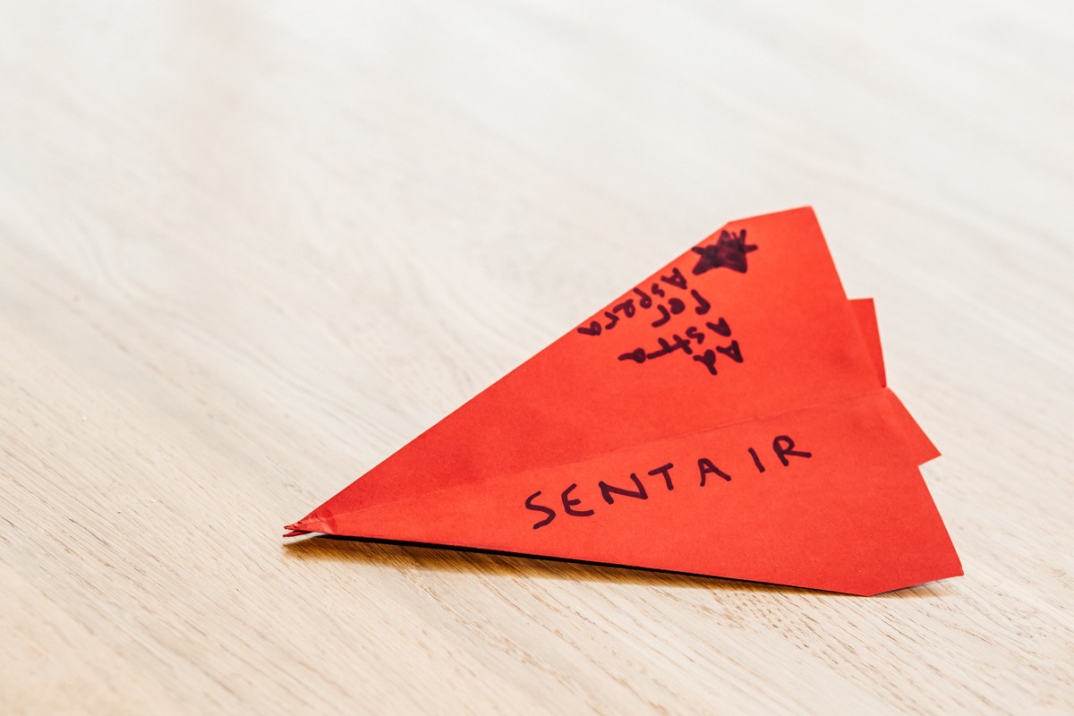 Sentinels. Maria Abramkina