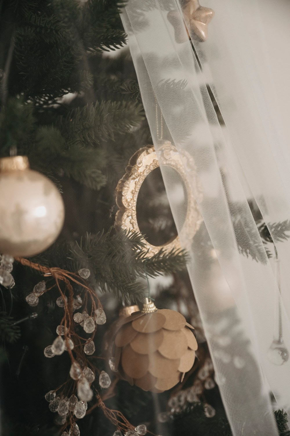 NOVOGODISNJE FOTOGRAFISANJE. Deciji i porodicni fotograf u Beogradu Oksana Skendzic