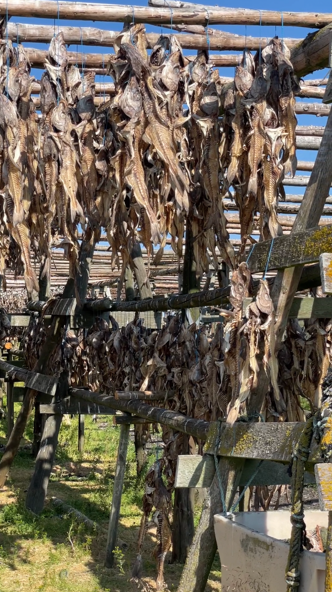 Mon voyage photo en Islande. Eugénie Smirnova — Photographe à Toulouse et dans le Sud-Ouest