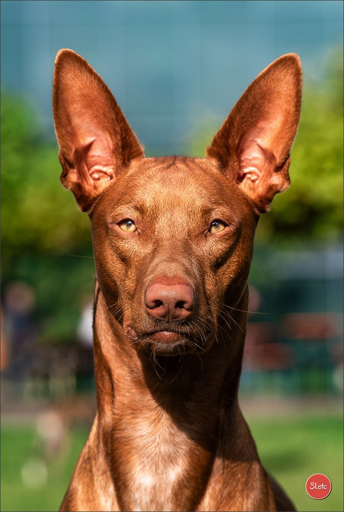 Photographe à Strasbourg | Portraits, Studio, Enfants, Événements