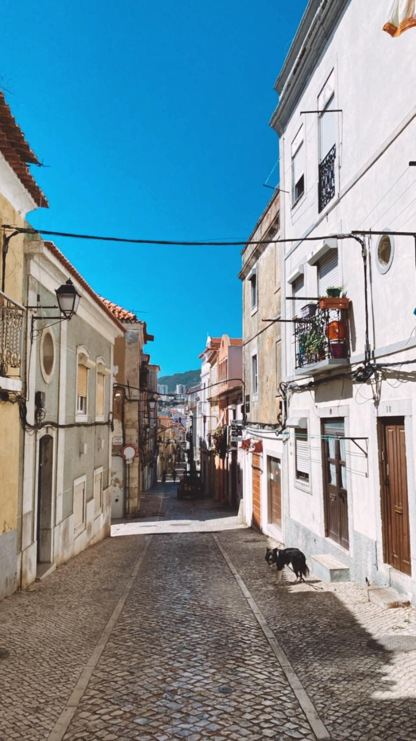 Jógový pobyt v Portugalsku 2024. Mateřství. Nevýchova. Život v souladu s přírodou. Jóga