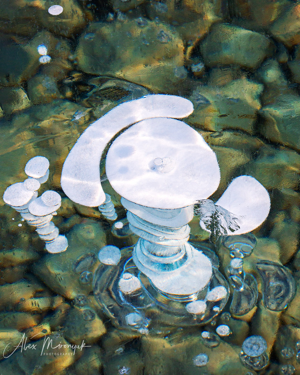 Photographing Winter Wonderland — Canada. Pet, Senior, Landscape, portrait studio, photographer in Miami and Sou