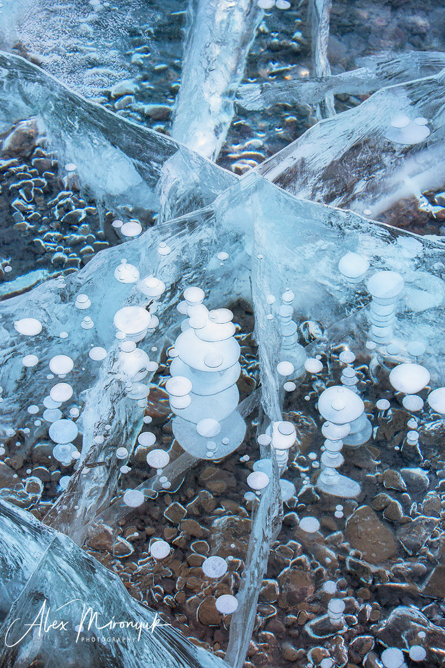 Photographing Winter Wonderland — Canada. Pet, Senior, Landscape, portrait studio, photographer in Miami and Sou