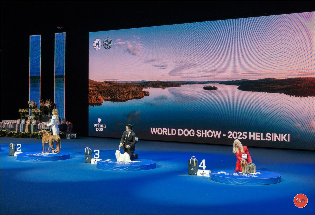 Photographe à Strasbourg | Portraits, Studio, Enfants, Événements