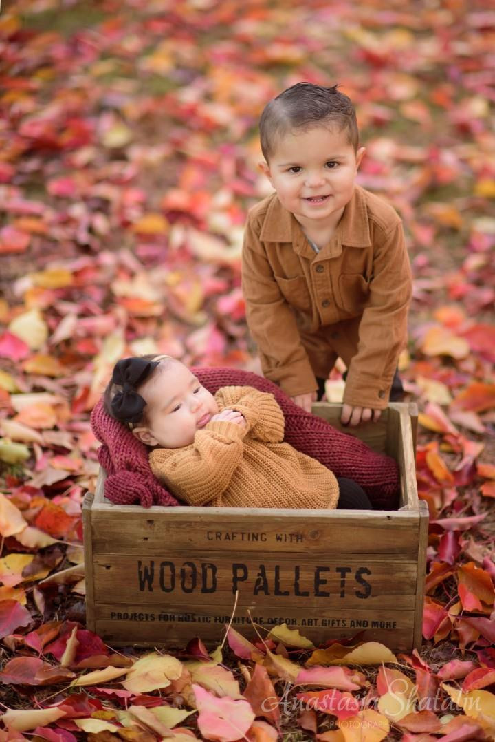 Fall autumn photography Folsome, Roseville, Rocklin. Family photographer in Roseville, Rocklin, Folsom, Sacramento
