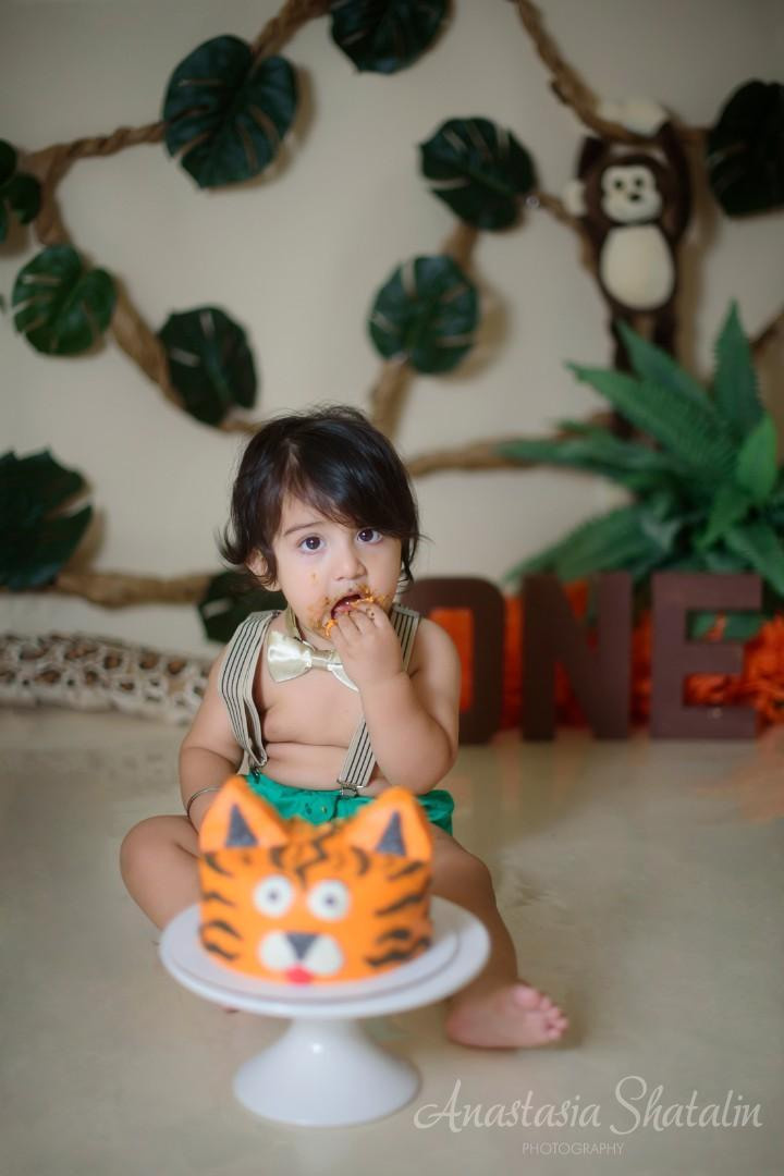 Jungle themed cake smash first birthday photography, Roseville, CA. Family photographer in Roseville, Rocklin, Folsom, Sacramento