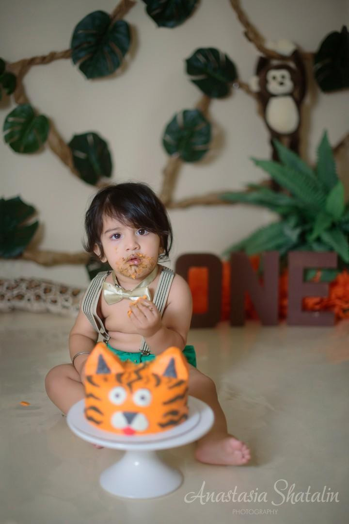 Jungle themed cake smash first birthday photography, Roseville, CA. Family photographer in Roseville, Rocklin, Folsom, Sacramento